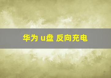 华为 u盘 反向充电